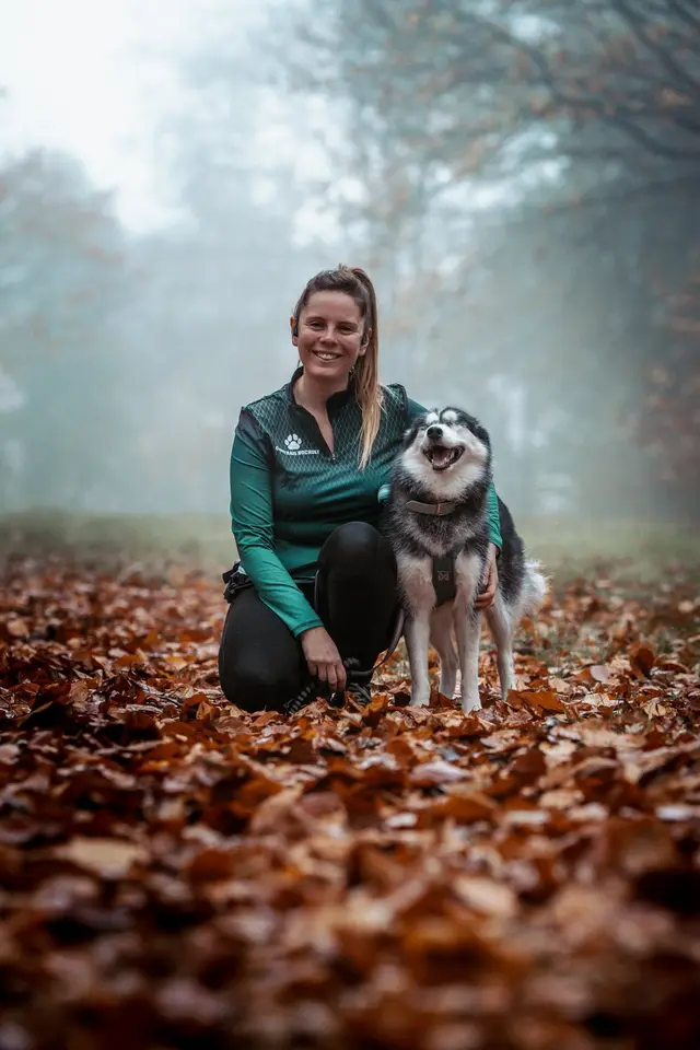 Una, siberische husky, tijdens een canitrail