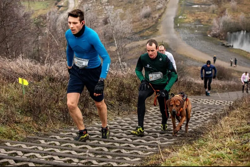 Samen lopen met de hond