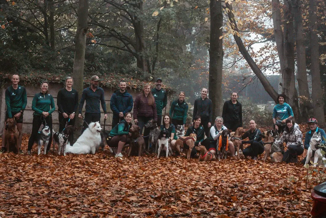 Groepsfoto tussen de herfstbladeren