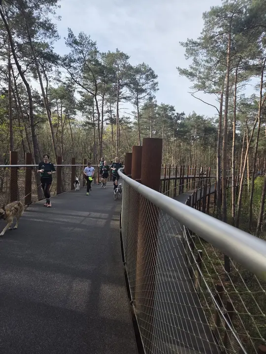 Lopen over de boomkroonpadbrug