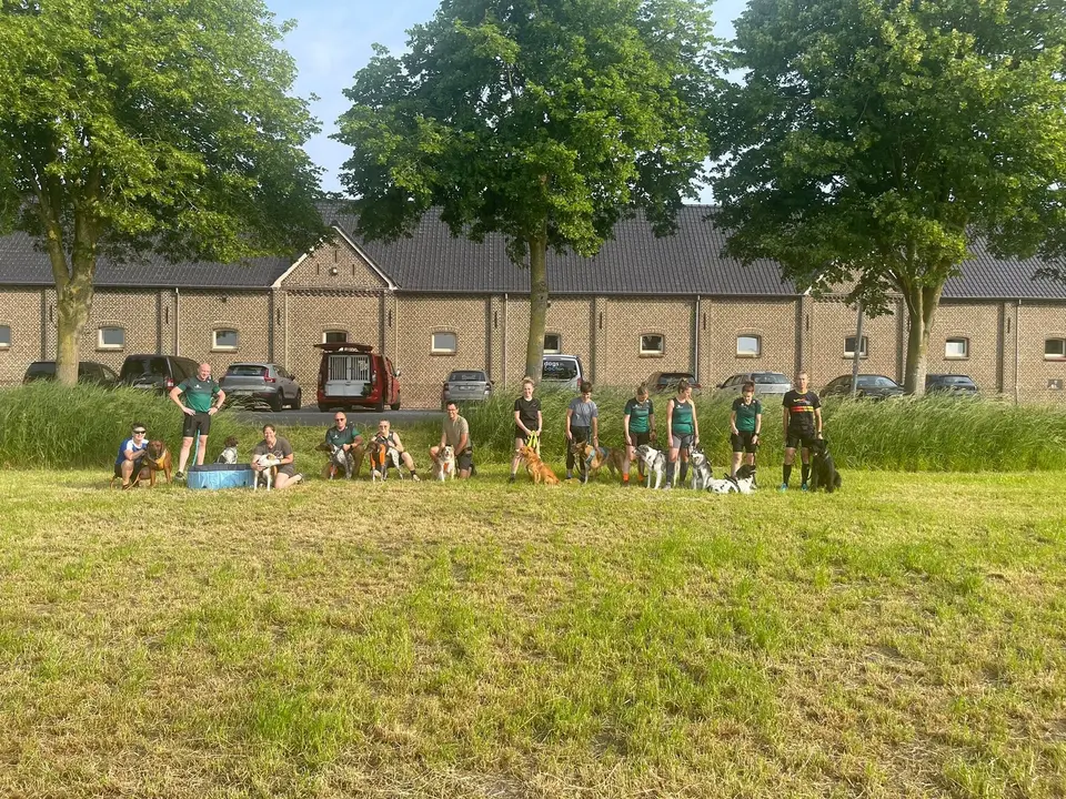 Groepsfoto op een zomerse avond