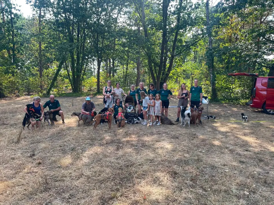 Groepsfoto in het bos met kinderen